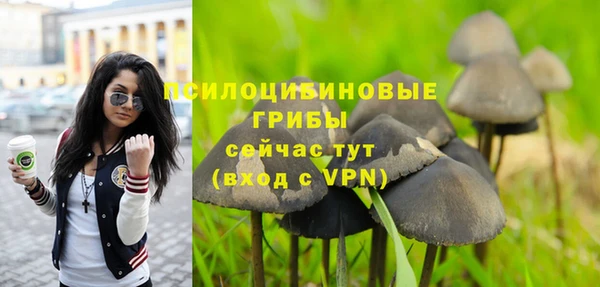 ALPHA PVP Богородск
