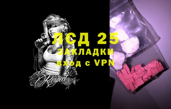 прущие грибы Бугульма
