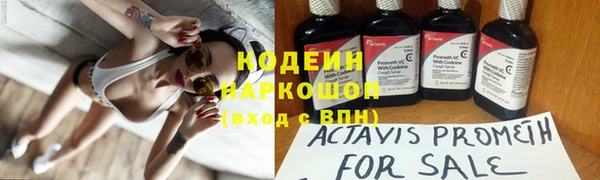 прущие грибы Бугульма