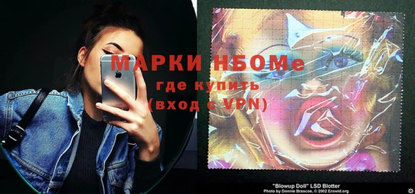 соль ск Богородицк