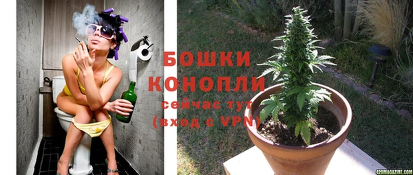 apvp Бородино