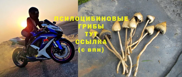 соль ск Богородицк