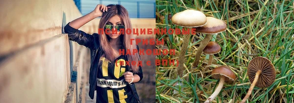apvp Бородино